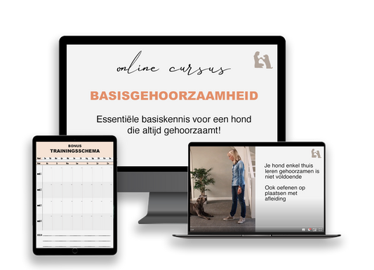 Online cursus littekenmassage na keizersnede – Leer zelf je litteken verzorgen
